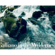 Illustration for article titled John Galliano Gives First Interview Since Dior Firing